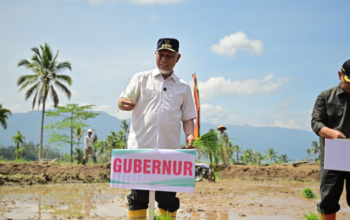 Gubernur Sumbar Mahyeldi menanam padi di Agam dalam gerakan tanam serempak
