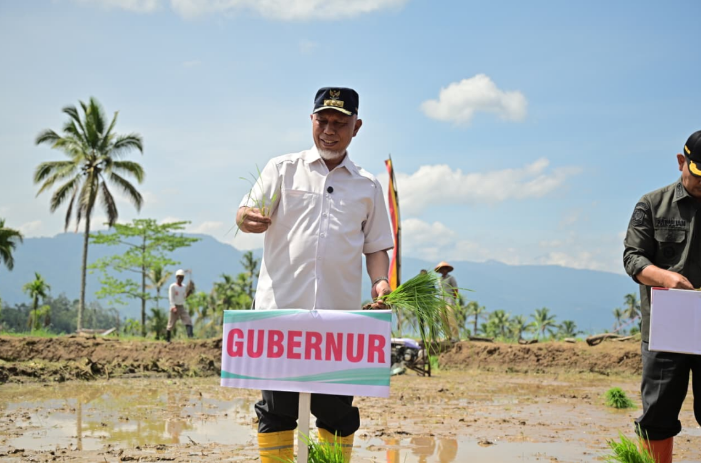Gubernur Sumbar Mahyeldi menanam padi di Agam dalam gerakan tanam serempak