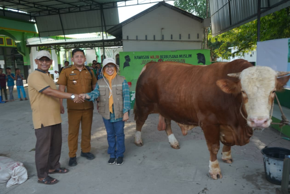 Tim dokter hewan memeriksa kesehatan sapi bantuan Presiden RI untuk Hari Raya Iduladha di Kabupaten Asahan.