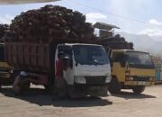 Harga TBS di Tingkat Petani Rp2.250/Kg, Potongan 10,50 Persen di PKS Jadi Sorotan