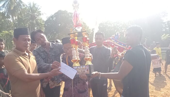 Kerapan Kerbau Desa Angkatan 2026, Dua Pasangan Kerbau Kapotren Sindu Laras Sabet Juara Satu dan dua