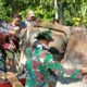 Semangat Pengabdian Mampu Mengalahkan Alat Berat