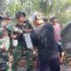 Panas Matahari Membakar Semangat,Kerja Tanpa Pamrih