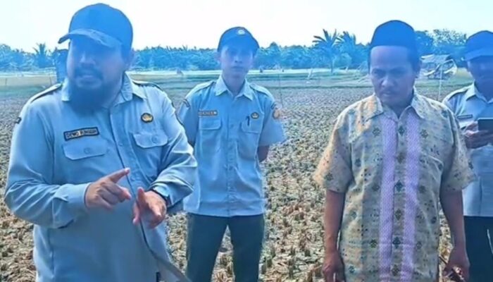Kecamatan Dungkek Jadi Percontohan PM‑AAS, Tim Kerja Kabupaten Sumenep Sosialisasikan Teknologi Pertanian Modern