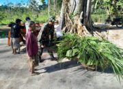 Di Usia Senja, Bapak Warno Jumingan Tetap Gigih Mencari Nafkah