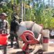 Sarana Pertumbuhan Ekonomi Desa Cukil