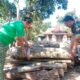Kayu bakar ; Pembakar Malas, Kumpul Rupiah Demi Masa Depan Cerah