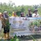 AMPHIBI Tanam 500 Bibit Mangrove di Deli Serdang, Peringati Hari Mangrove Sedunia 2026
