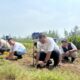 InJourney Tanam 10 Ribu Mangrove di Pantai Tiram, Perkuat Ekosistem dan Pariwisata Padang Pariaman