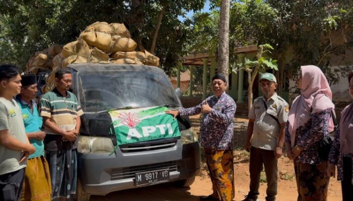 Tunjukkan Kometmennya, DKPP Sumenep Dorong Pengembangan Tembakau Varietas Prancak 95