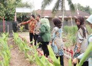 Evaluasi Lima Kategori Lomba PKK Sumut Digelar di Asahan, Tekankan Manfaat Program bagi Masyarakat