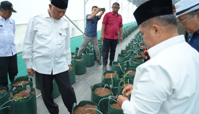 Mahyeldi Dorong Smart Farming di Sumbar, Screenhouse Cabai Jadi Solusi Kendalikan Inflasi