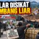 Solar Disikat Tambang Liar