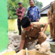 Wabup Pasaman Lakukan Peletakan Batu Pertama Pembangunan Mushala SD 03 Kampung Nan VI